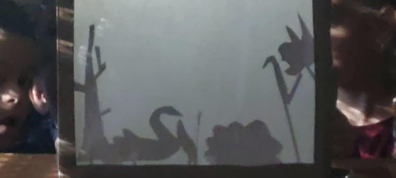 b16a48c1-fe9d-43c8-b095-513aa089ef10