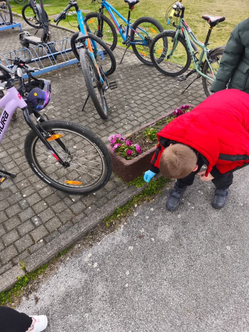 WhatsApp Image 2026-03-20 at 13.39.53 (1)