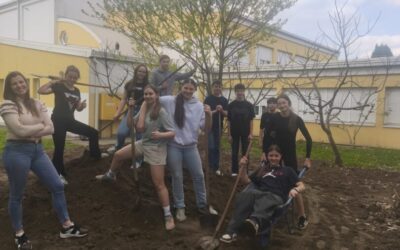 Uređenje školskog dvorišta