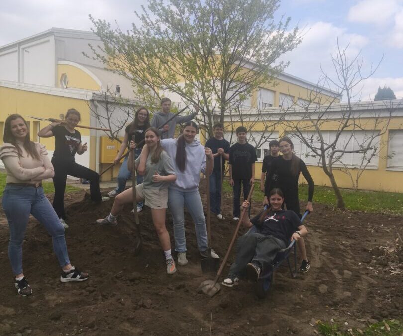 Uređenje školskog dvorišta