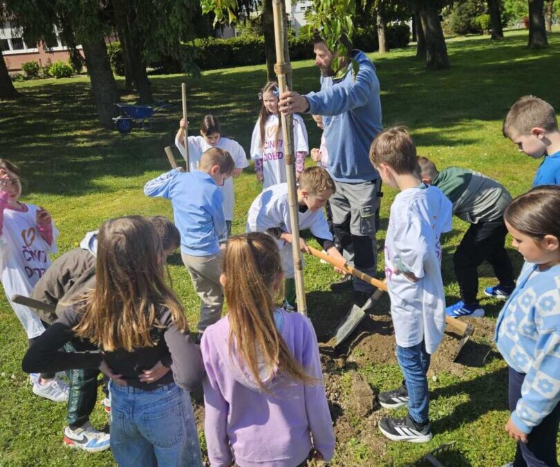 Naši prvašići posadili nova stabla u školskom dvorištu
