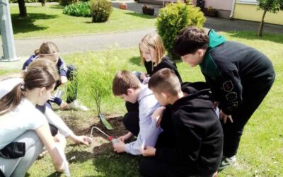 Tlo – riznica prirodnog blaga