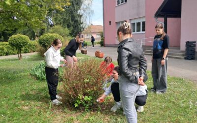 Eko aktivnosti na satovima Njemačkog jezika