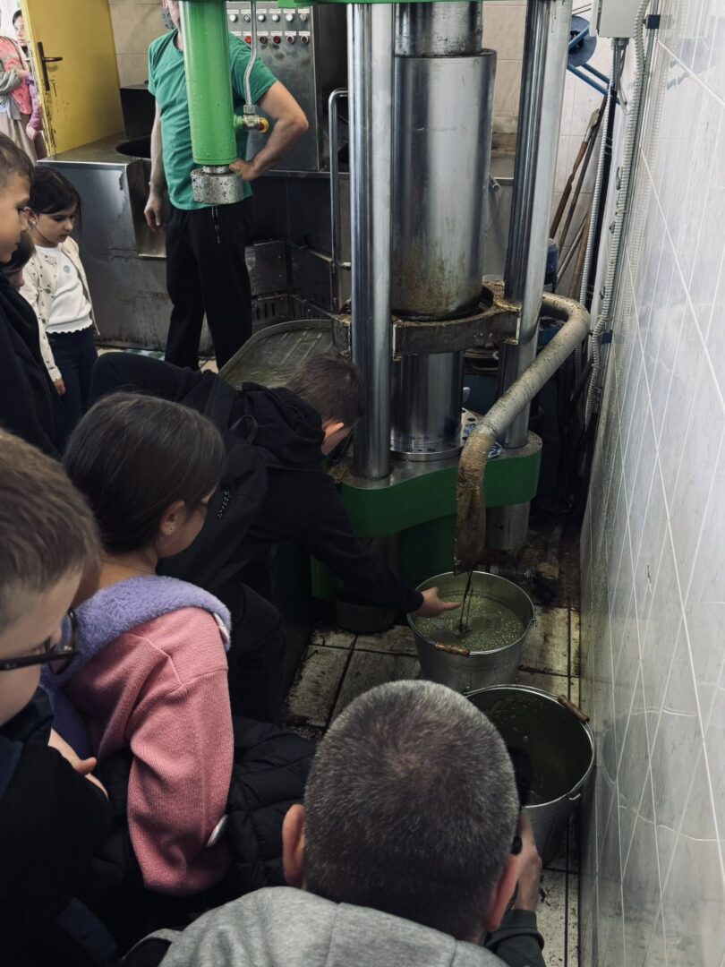 675683582_1464419135696042_5601497986589121768_n